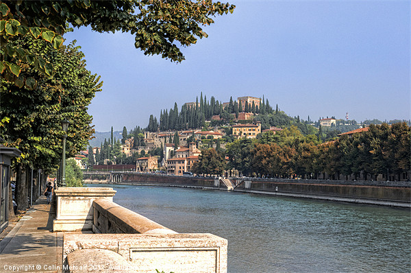 Verona View Picture Board by Colin Metcalf