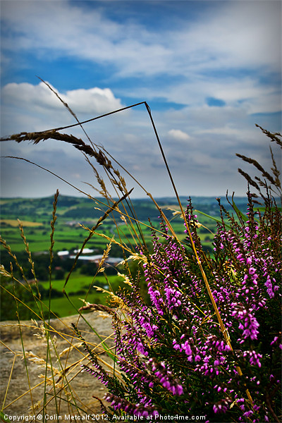 View from Otley Chevin #1 Picture Board by Colin Metcalf