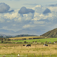 Buy canvas prints of Rural Landscape by Colin Metcalf