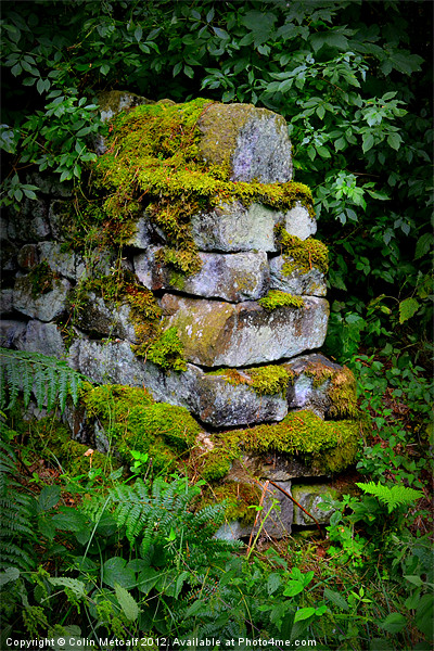Mossy Wall End Picture Board by Colin Metcalf