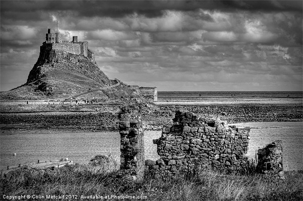 Lindifarne Castle (Holy Island) in Mono Picture Board by Colin Metcalf