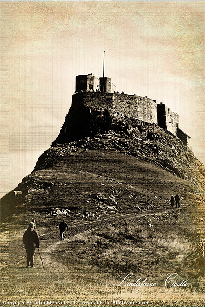 Vintage Lindisfarne Castle. Picture Board by Colin Metcalf