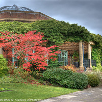 Buy canvas prints of The Sun Pavilion by Colin Metcalf