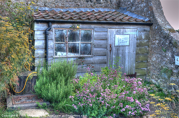Gertrude Jekylls potting shed Picture Board by Colin Metcalf