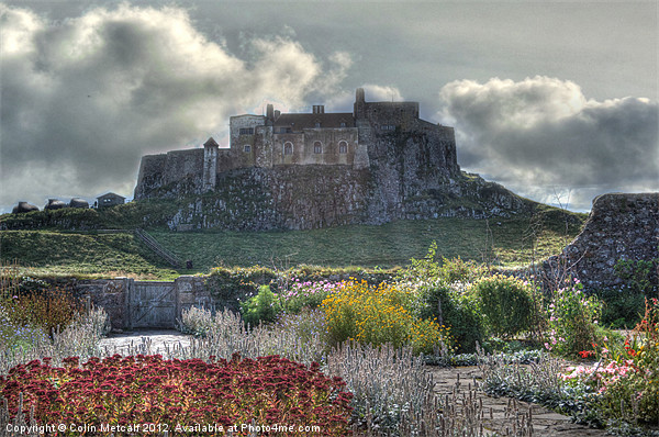 Lindisfarne Castle (Holy Island) Picture Board by Colin Metcalf