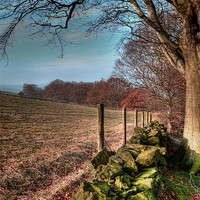 Buy canvas prints of Chevin Dry Stone Wall #2 by Colin Metcalf