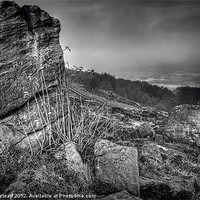 Buy canvas prints of Chevin Surprise View Mono by Colin Metcalf