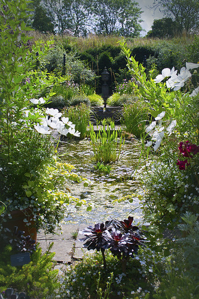 Water Garden Picture Board by Colin Metcalf