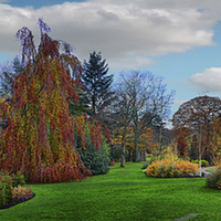Buy canvas prints of Autumn Panorama by Colin Metcalf