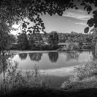 Buy canvas prints of Through the Willows in Mono by Colin Metcalf
