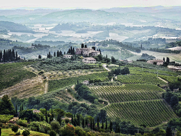 San Gimignano View Picture Board by Colin Metcalf
