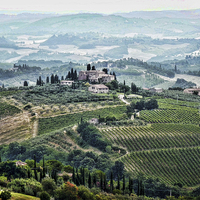 Buy canvas prints of San Gimignano View by Colin Metcalf