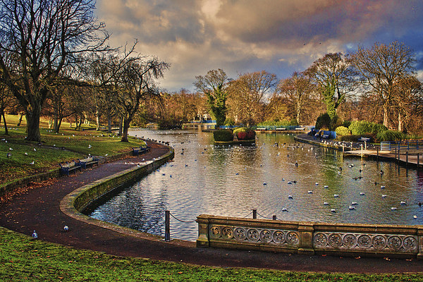 The Boating Lake Picture Board by Colin Metcalf