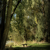 Buy canvas prints of Seat of Meditation by Colin Metcalf