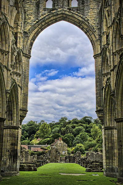  Rievaulx Abbey View Picture Board by Colin Metcalf