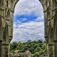 Buy canvas prints of  Rievaulx Abbey View by Colin Metcalf