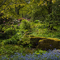 Buy canvas prints of The Fairy Dell. by Colin Metcalf
