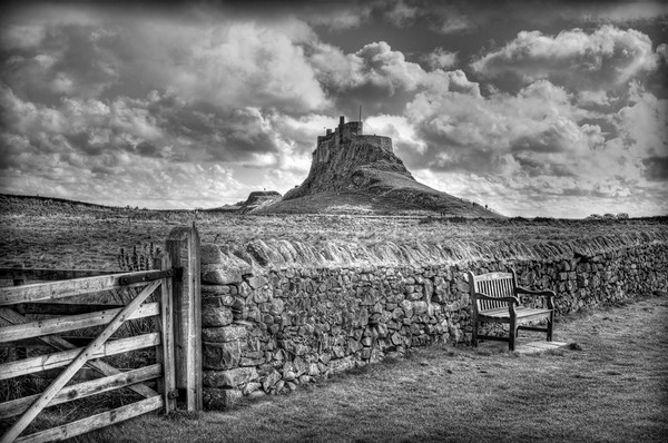 Lindisfarne Castle, Holy Island Picture Board by Colin Metcalf