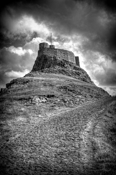 Lindisfarne Castle Approach Picture Board by Colin Metcalf