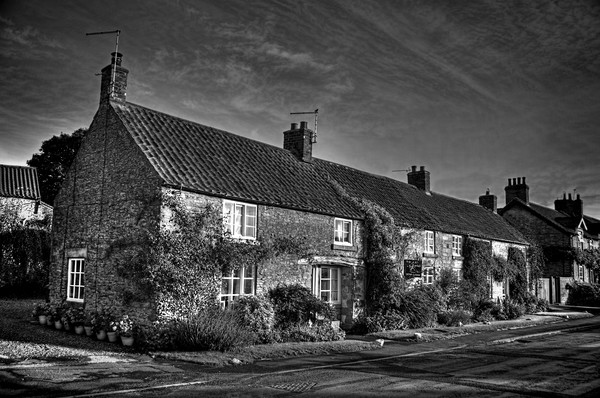 Gillamoor Cottages in mono Picture Board by Colin Metcalf