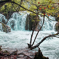 Buy canvas prints of Plitvice Waterfalls by Colin Metcalf