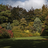 Buy canvas prints of Thorp Perrow in Autumn by Colin Metcalf