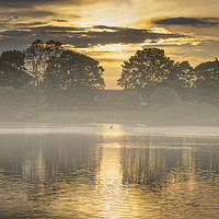 Buy canvas prints of Misty Morn by Colin Metcalf