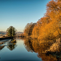 Buy canvas prints of The River Aire by Colin Metcalf