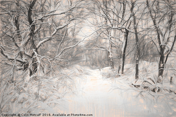 Snowy Walk Picture Board by Colin Metcalf