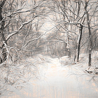 Buy canvas prints of Snowy Walk by Colin Metcalf