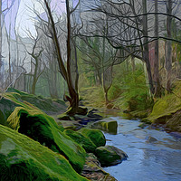 Buy canvas prints of Woodland Stream by Colin Metcalf