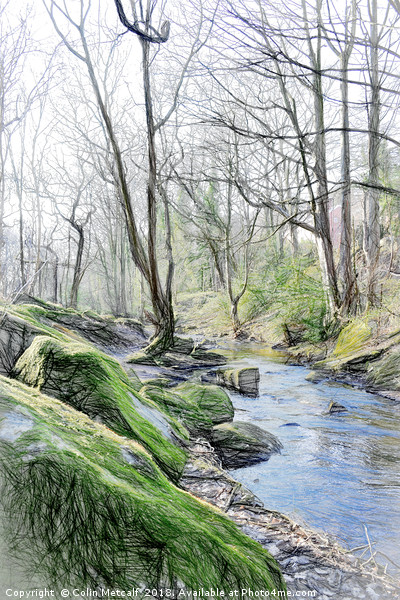 Woodland Stream Picture Board by Colin Metcalf