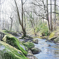 Buy canvas prints of Woodland Stream by Colin Metcalf