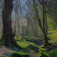 Buy canvas prints of Winter Woodland by Colin Metcalf