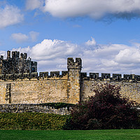 Buy canvas prints of Alnwick Castle Panorama by Colin Metcalf