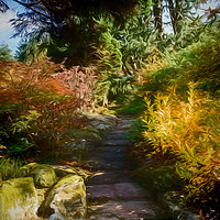 Buy canvas prints of Rocky Path by Colin Metcalf