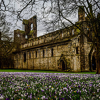 Buy canvas prints of A Hint of Spring by Colin Metcalf
