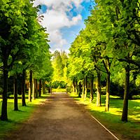 Buy canvas prints of The Avenue by Colin Metcalf
