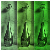 Buy canvas prints of Rose Triptych in Green by Colin Metcalf