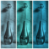 Buy canvas prints of Rose Triptych in Blue by Colin Metcalf
