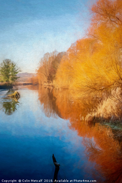 Winter Sun on the Aire Picture Board by Colin Metcalf