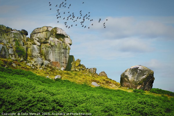 Enigmatic Rocks: The Cow and Calf Picture Board by Colin Metcalf
