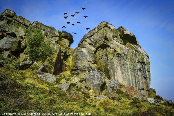 'Rombald's Flight: Ilkley Moor's Iconic Formation' Picture Board by Colin Metcalf