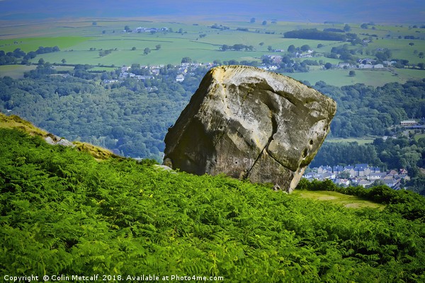 The Enigmatic 'Calf': Ilkley Moor's Legacy Picture Board by Colin Metcalf