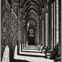Buy canvas prints of The Cloister by Colin Metcalf