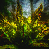Buy canvas prints of Harts Tongue Fern by Colin Metcalf