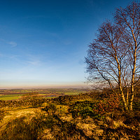 Buy canvas prints of Surprise View by Colin Metcalf