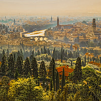 Buy canvas prints of Verona Panorama by Colin Metcalf