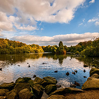 Buy canvas prints of Golden Acre Park by Colin Metcalf
