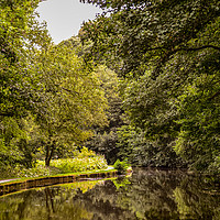Buy canvas prints of Canal Reflections by Colin Metcalf